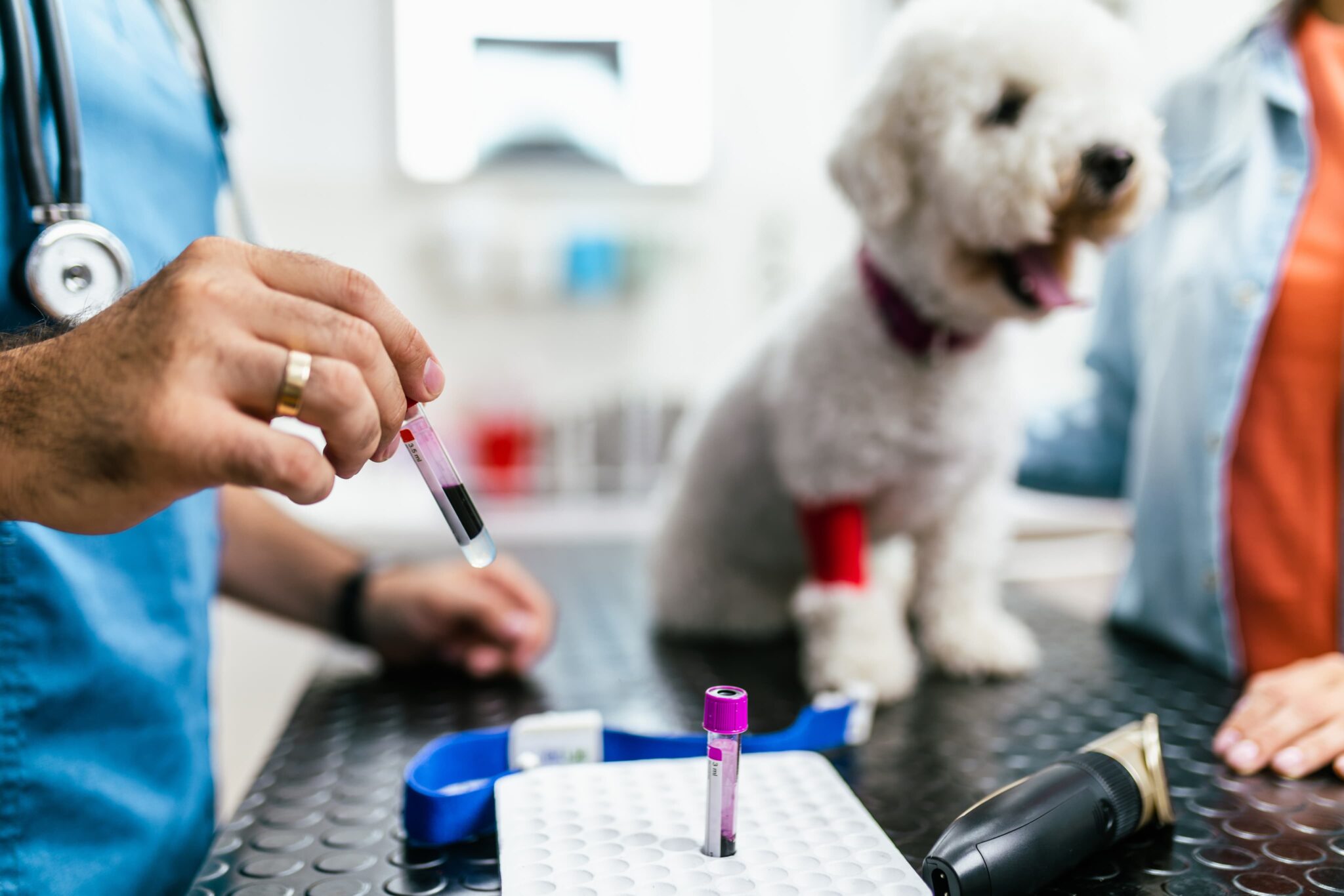 Country Chase Veterinary Hospital