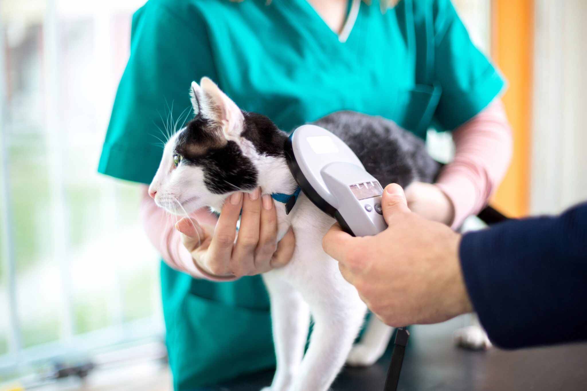 Country Chase Veterinary Hospital