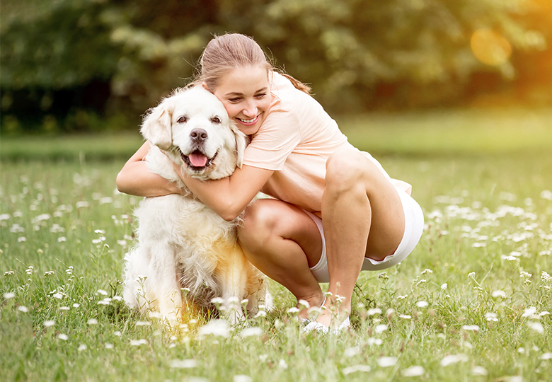 Animal Hospital in Tampa, FL | Veterinarians in Tampa, FL Animal Hospital in Tampa, FL | Veterinarians in Tampa, FL