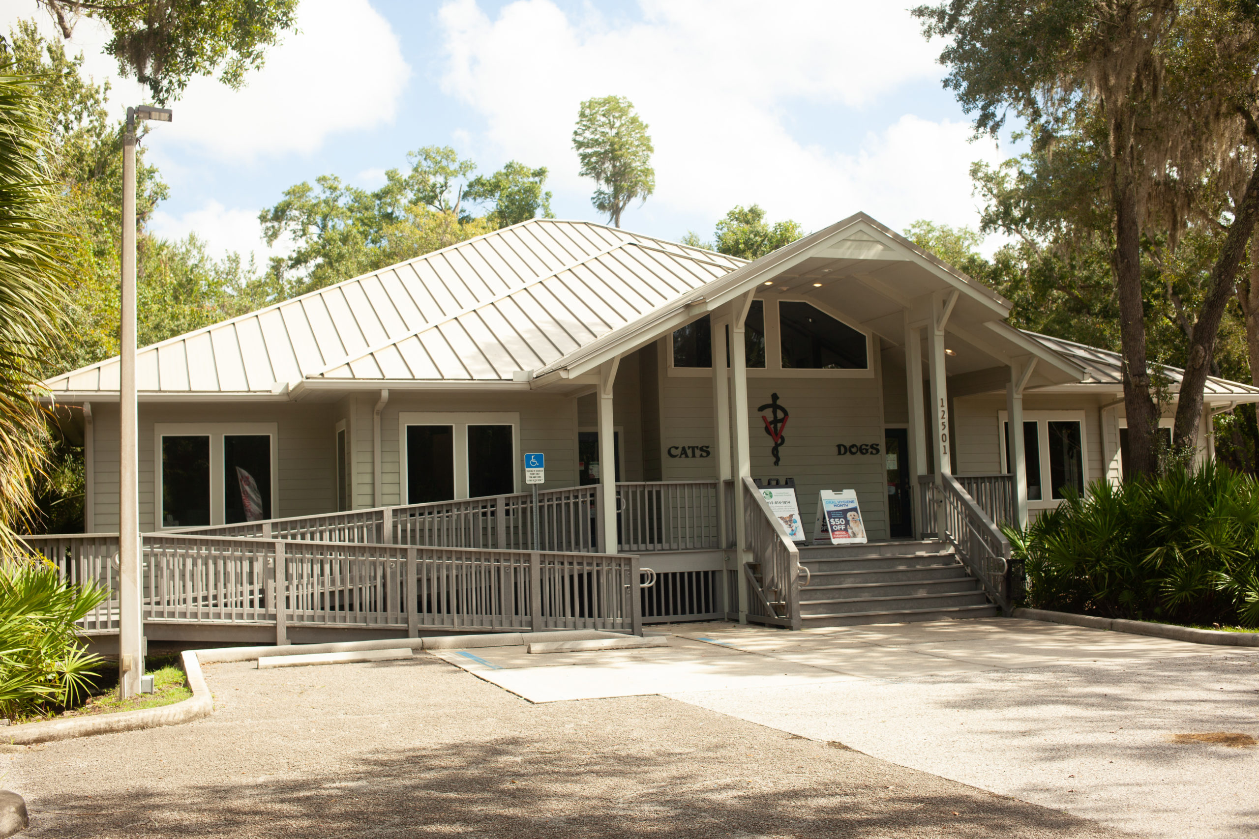 Animal Hospital in Tampa, FL | Veterinarians in Tampa, FL Animal Hospital in Tampa, FL | Veterinarians in Tampa, FL