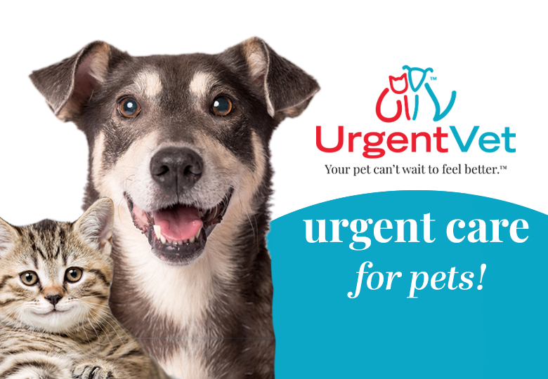 Urgent Care